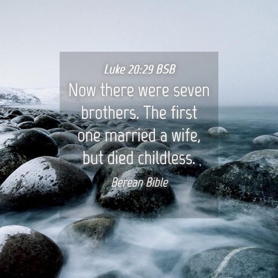 Picture 04 - Luke 20:29 BSB - Now there were seven brothers. The first one - Bible Verse Picture