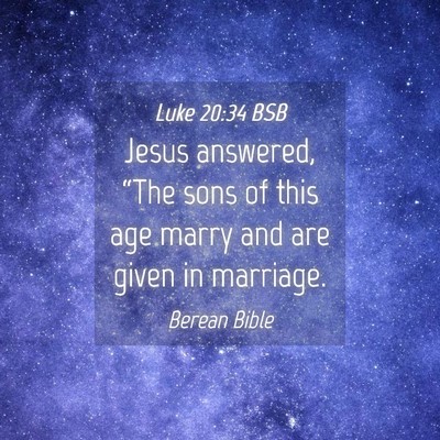Picture 04 - Luke 20:34 BSB - Jesus answered, “The sons of this age marry and - Bible Verse Picture