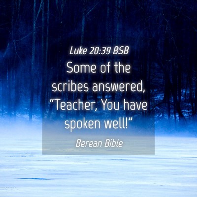 Picture 04 - Luke 20:39 BSB - Some of the scribes answered, “Teacher, You - Bible Verse Picture