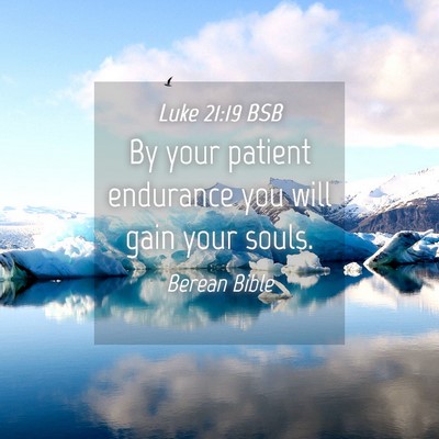 Picture 04 - Luke 21:19 BSB - By your patient endurance you will gain your - Bible Verse Picture