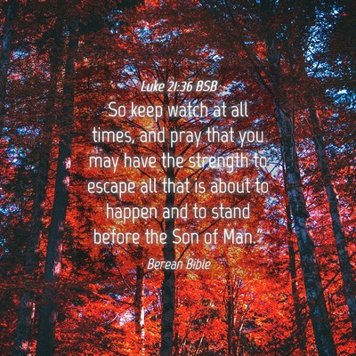 Picture 04 - Luke 21:36 BSB - So keep watch at all times, and pray that you may - Bible Verse Picture