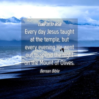 Picture 04 - Luke 21:37 BSB - Every day Jesus taught at the temple, but every - Bible Verse Picture