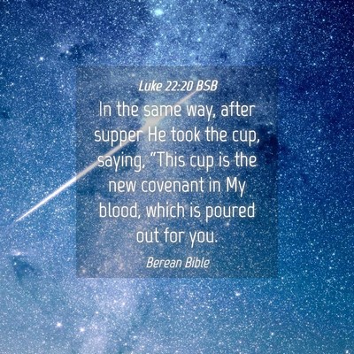 Picture 04 - Luke 22:20 BSB - In the same way, after supper He took the cup, - Bible Verse Picture
