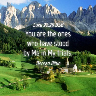 Picture 04 - Luke 22:28 BSB - You are the ones who have stood by Me in My - Bible Verse Picture