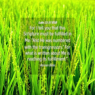 Picture 04 - Luke 22:37 BSB - For I tell you that this Scripture must be - Bible Verse Picture