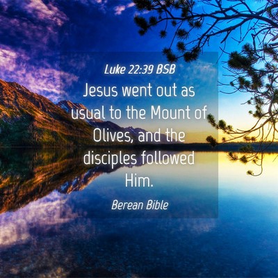Picture 04 - Luke 22:39 BSB - Jesus went out as usual to the Mount of Olives, - Bible Verse Picture