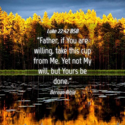 Picture 04 - Luke 22:42 BSB - “Father, if You are willing, take this cup from - Bible Verse Picture