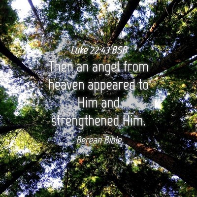 Picture 04 - Luke 22:43 BSB - Then an angel from heaven appeared to Him and - Bible Verse Picture