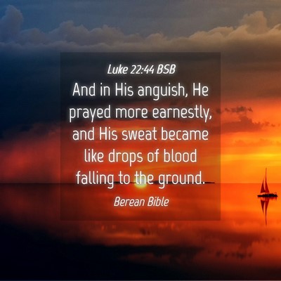 Picture 04 - Luke 22:44 BSB - And in His anguish, He prayed more earnestly, and - Bible Verse Picture