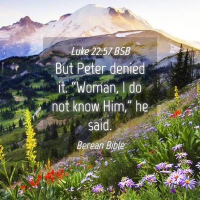 Picture 04 - Luke 22:57 BSB - But Peter denied it. “Woman, I do not know - Bible Verse Picture