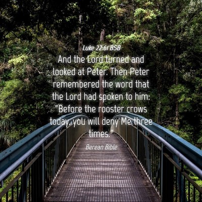 Picture 04 - Luke 22:61 BSB - And the Lord turned and looked at Peter. Then - Bible Verse Picture