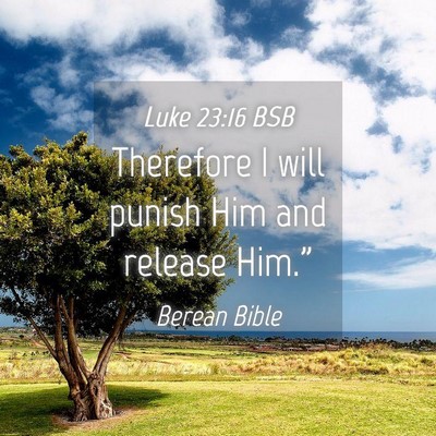 Picture 04 - Luke 23:16 BSB - Therefore I will punish Him and release - Bible Verse Picture