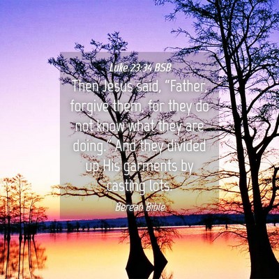 Picture 04 - Luke 23:34 BSB - Then Jesus said, “Father, forgive them, for - Bible Verse Picture