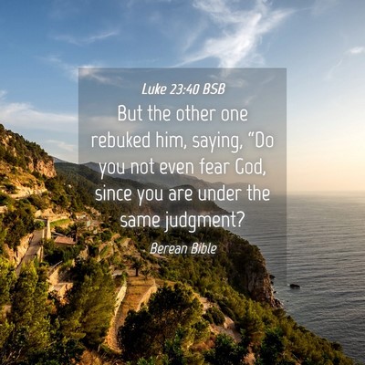 Picture 04 - Luke 23:40 BSB - But the other one rebuked him, saying, “Do you - Bible Verse Picture