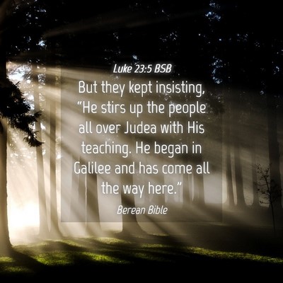 Picture 04 - Luke 23:5 BSB - But they kept insisting, “He stirs up the - Bible Verse Picture