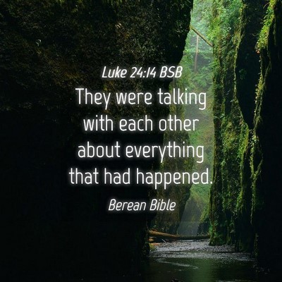 Picture 04 - Luke 24:14 BSB - They were talking with each other about - Bible Verse Picture