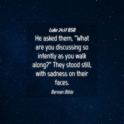 Picture 04 - Luke 24:17 BSB - He asked them, “What are you discussing so - Bible Verse Picture
