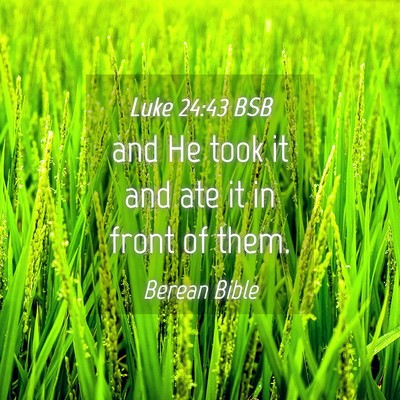 Picture 04 - Luke 24:43 BSB - and He took it and ate it in front of - Bible Verse Picture