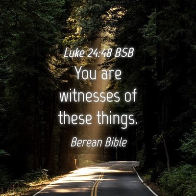 Picture 04 - Luke 24:48 BSB - You are witnesses of these - Bible Verse Picture