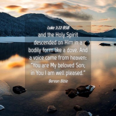 Picture 04 - Luke 3:22 BSB - and the Holy Spirit descended on Him in a bodily - Bible Verse Picture