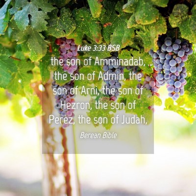 Picture 04 - Luke 3:33 BSB - the son of Amminadab, the son of Admin, the son - Bible Verse Picture