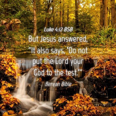Picture 04 - Luke 4:12 BSB - But Jesus answered, “It also says, ‘Do not - Bible Verse Picture