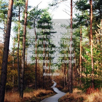 Picture 04 - Luke 4:25 BSB - But I tell you truthfully that there were many - Bible Verse Picture