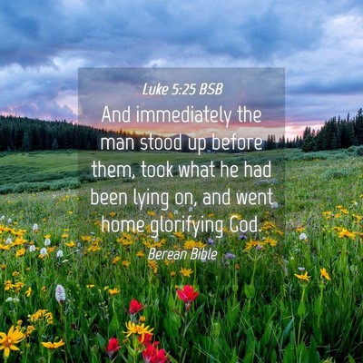 Picture 04 - Luke 5:25 BSB - And immediately the man stood up before them, - Bible Verse Picture