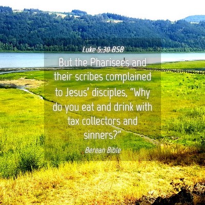 Picture 04 - Luke 5:30 BSB - But the Pharisees and their scribes complained to - Bible Verse Picture