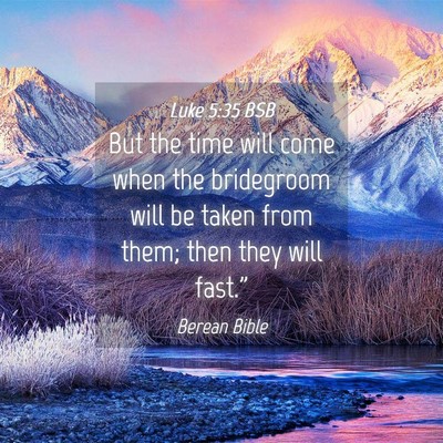 Picture 04 - Luke 5:35 BSB - But the time will come when the bridegroom will - Bible Verse Picture