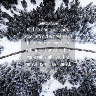 Picture 04 - Luke 5:37 BSB - And no one pours new wine into old wineskins. If - Bible Verse Picture