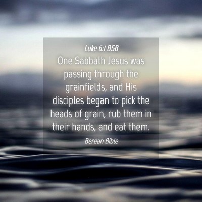 Picture 04 - Luke 6:1 BSB - One Sabbath Jesus was passing through the - Bible Verse Picture
