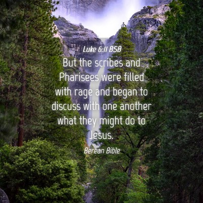 Picture 04 - Luke 6:11 BSB - But the scribes and Pharisees were filled with - Bible Verse Picture