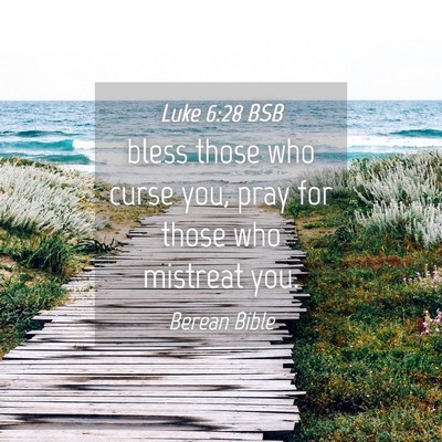 Picture 04 - Luke 6:28 BSB - bless those who curse you, pray for those who - Bible Verse Picture