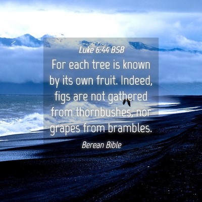Picture 04 - Luke 6:44 BSB - For each tree is known by its own fruit. Indeed, - Bible Verse Picture