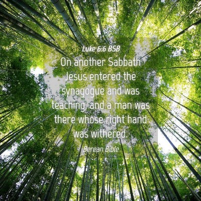 Picture 04 - Luke 6:6 BSB - On another Sabbath Jesus entered the synagogue - Bible Verse Picture
