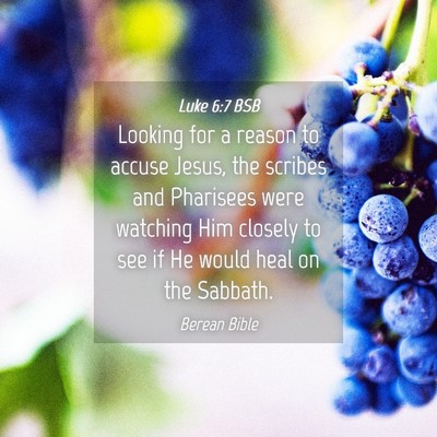 Picture 04 - Luke 6:7 BSB - Looking for a reason to accuse Jesus, the scribes - Bible Verse Picture