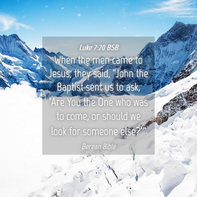 Picture 04 - Luke 7:20 BSB - When the men came to Jesus, they said, “John - Bible Verse Picture