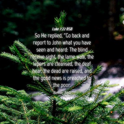 Picture 04 - Luke 7:22 BSB - So He replied, “Go back and report to John what - Bible Verse Picture