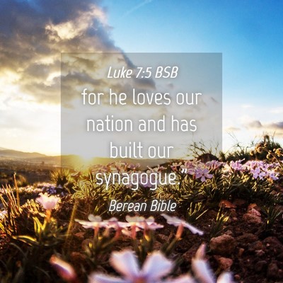 Picture 04 - Luke 7:5 BSB - for he loves our nation and has built our - Bible Verse Picture