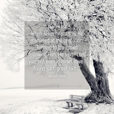 Picture 04 - Luke 7:9 BSB - When Jesus heard this, He marveled at the - Bible Verse Picture