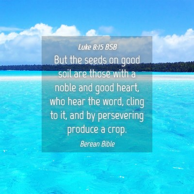 Picture 04 - Luke 8:15 BSB - But the seeds on good soil are those with a noble - Bible Verse Picture