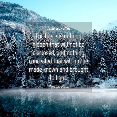 Picture 04 - Luke 8:17 BSB - For there is nothing hidden that will not be - Bible Verse Picture