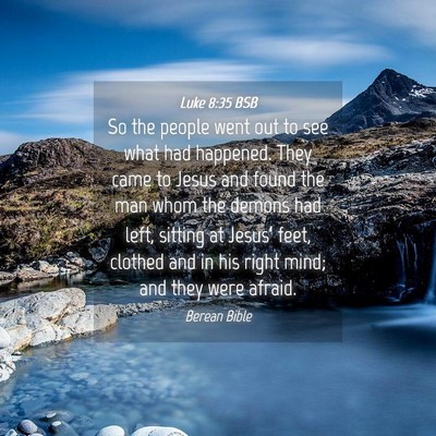 Picture 04 - Luke 8:35 BSB - So the people went out to see what had happened. - Bible Verse Picture