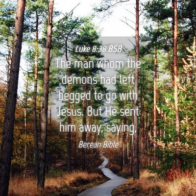 Picture 04 - Luke 8:38 BSB - The man whom the demons had left begged to go - Bible Verse Picture