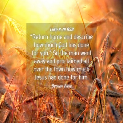Picture 04 - Luke 8:39 BSB - “Return home and describe how much God has done - Bible Verse Picture