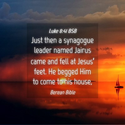 Picture 04 - Luke 8:41 BSB - Just then a synagogue leader named Jairus came - Bible Verse Picture