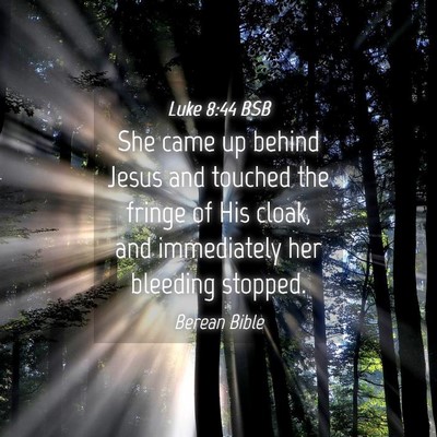 Picture 04 - Luke 8:44 BSB - She came up behind Jesus and touched the fringe - Bible Verse Picture