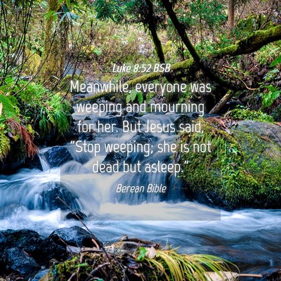 Picture 04 - Luke 8:52 BSB - Meanwhile, everyone was weeping and mourning for - Bible Verse Picture