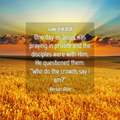 Picture 04 - Luke 9:18 BSB - One day as Jesus was praying in private and the - Bible Verse Picture
